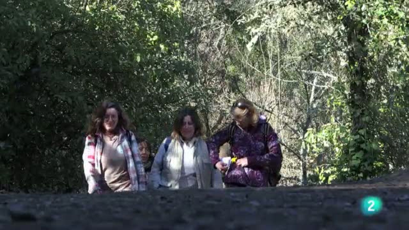 80 cm - De Jabugo a Aracena - Avance