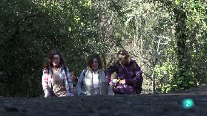  - 80 cm - De Jabugo a Aracena - Avance