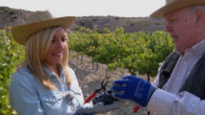 Aquí la Tierra - La madre del vino