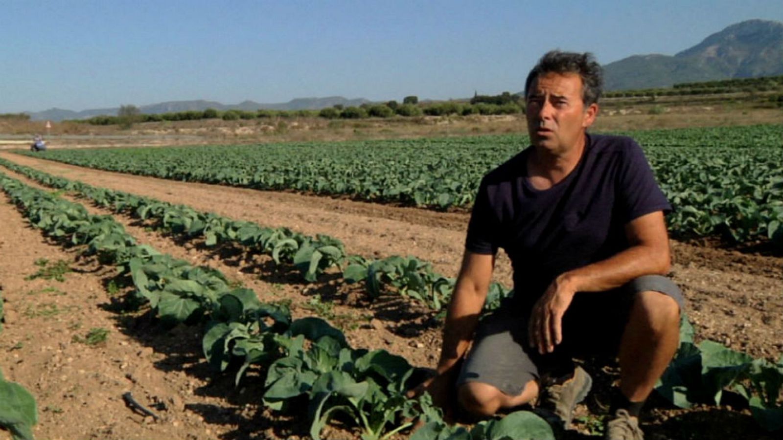 Carrícola, un ejemplo ecológico