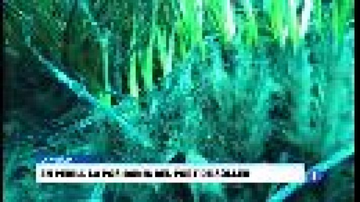 Informatiu Balear - Informatiu Balear en 2' - 13/10/17