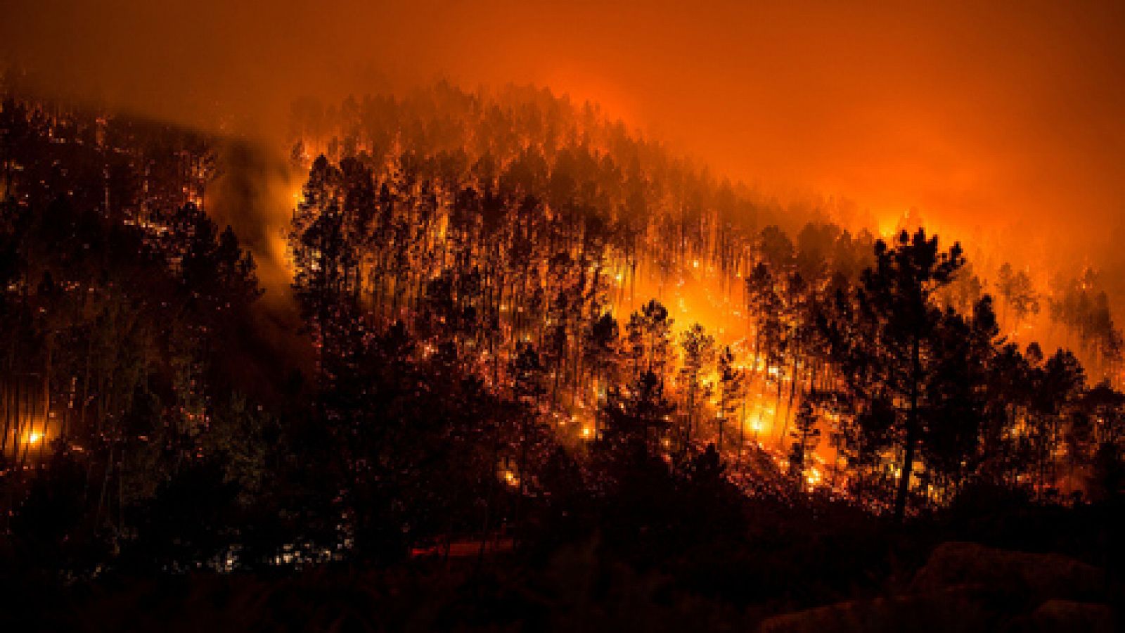 Telediario 1: Quince incendios activos arrasan 1.900 hectáreas en Galicia en 24 horas | RTVE Play