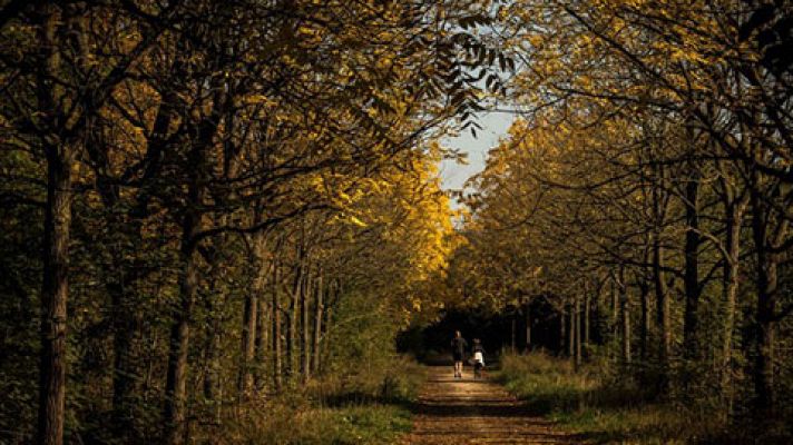 Continúa el tiempo estable con temperaturas significativamente altas