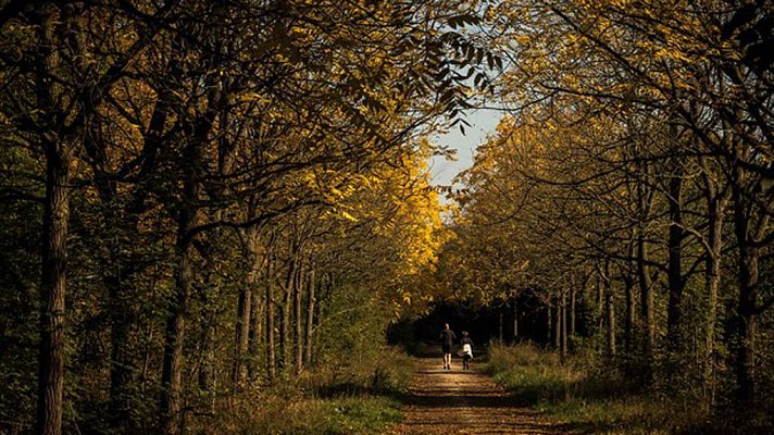 El tiempo - Continúa el tiempo estable con temperaturas significativamente altas