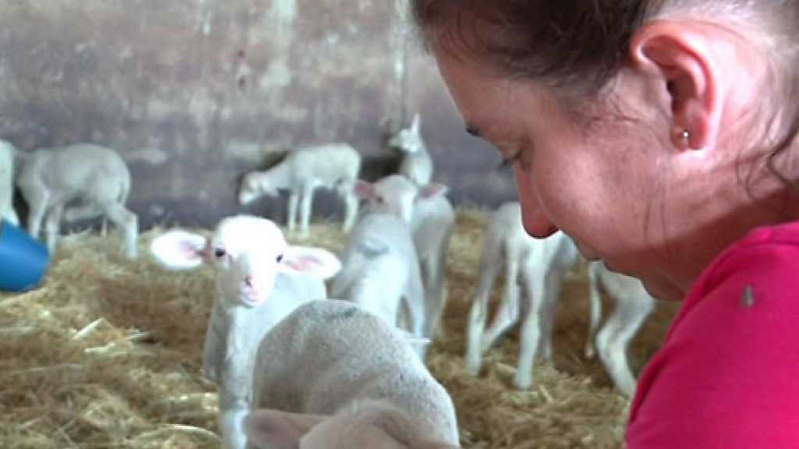 Agrosfera - 14/10/17 - ver hora