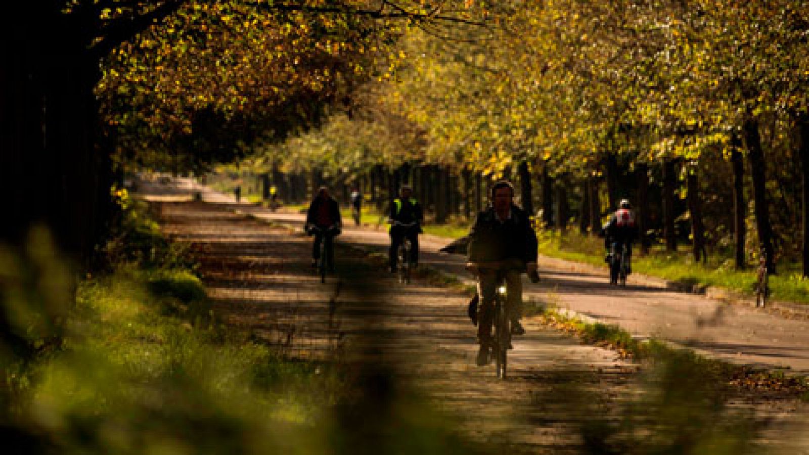 El tiempo: Temperaturas especialmente altas en Galicia y Cantábrico | RTVE Play