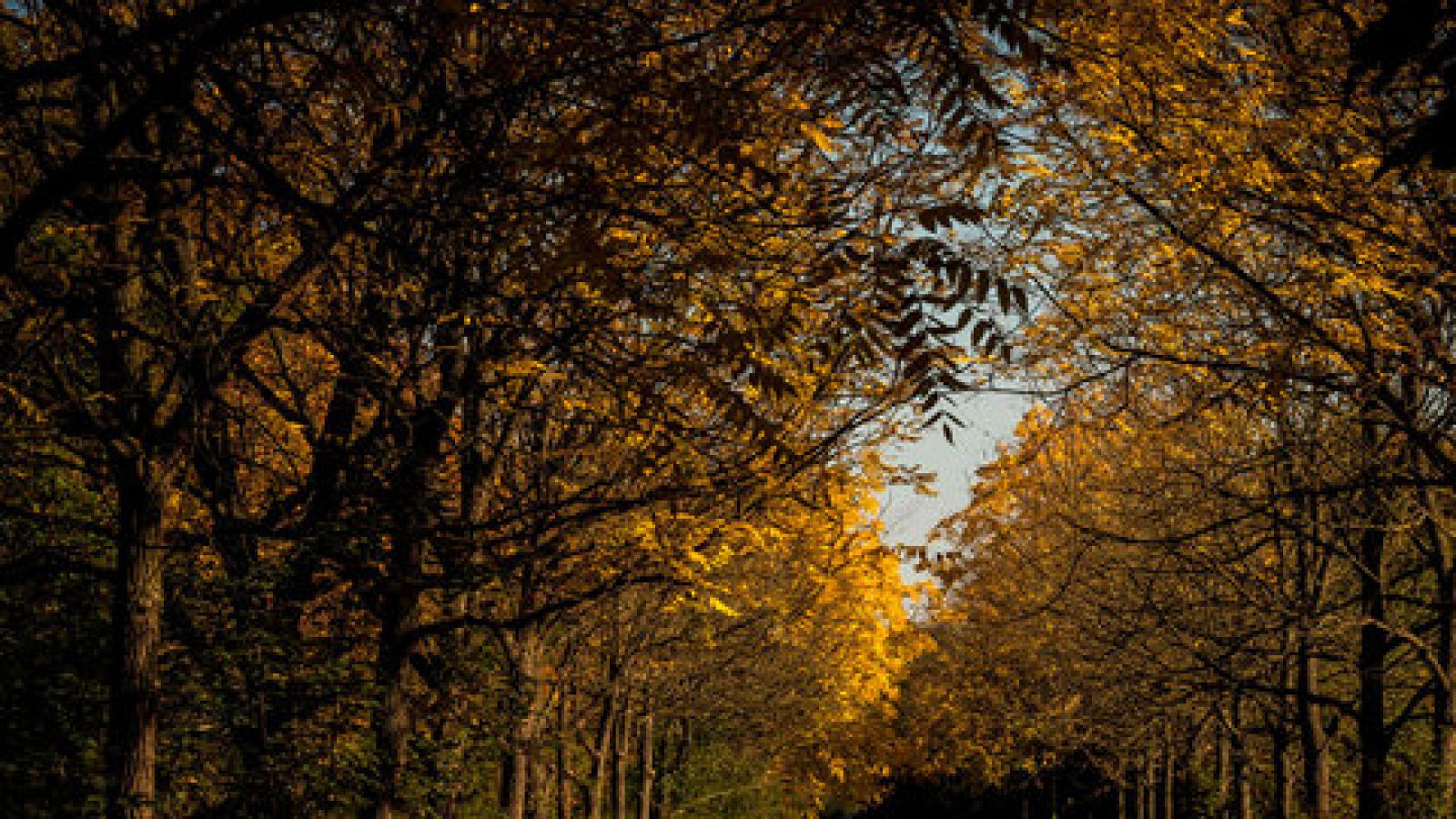 El tiempo: Temperaturas significativamente altas en buena parte del país | RTVE Play