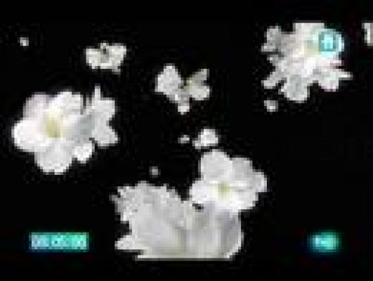  - El jardín de los sueños