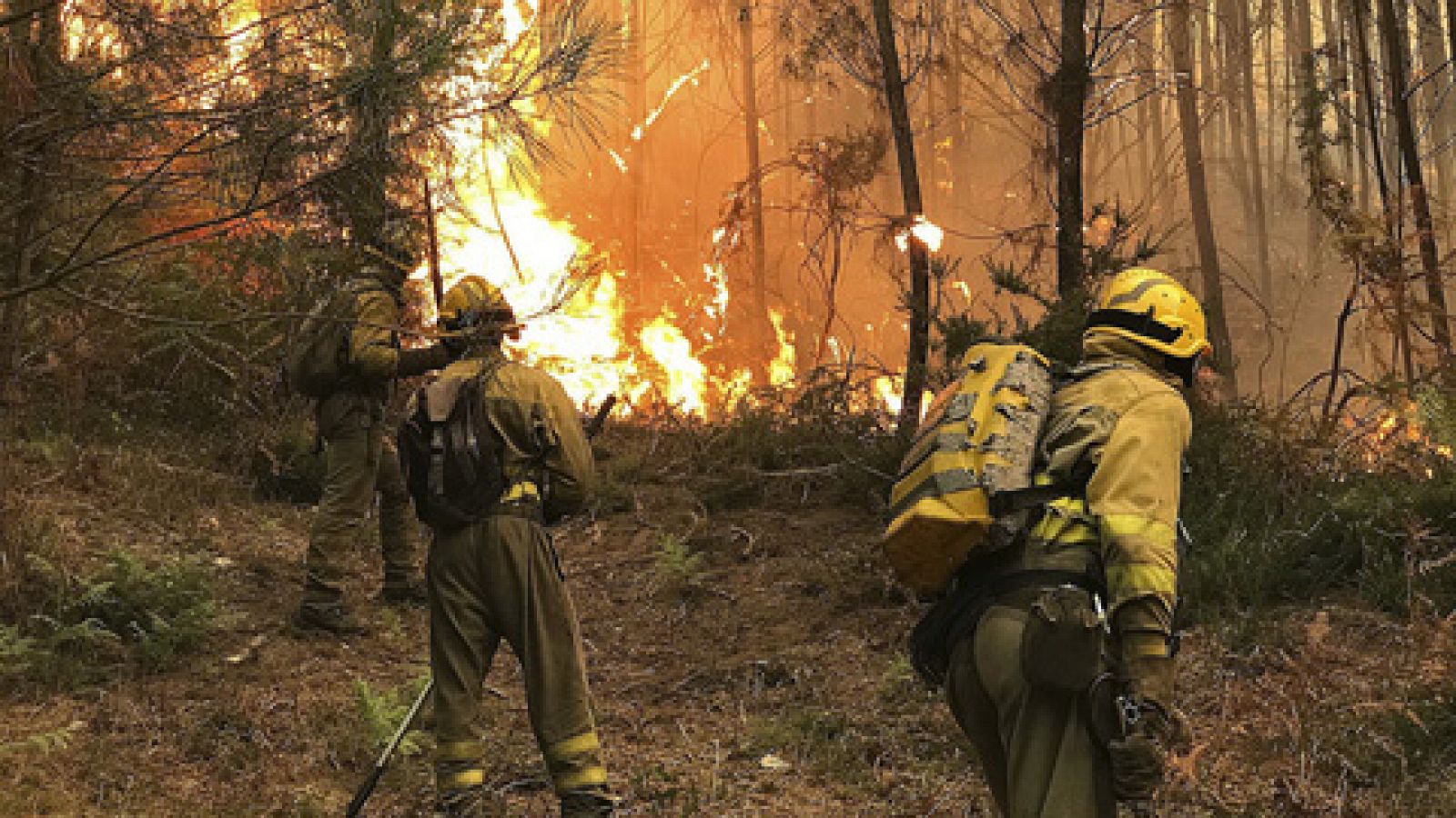 Incendios en Galicia - Once incendios forestales amenazan zonas pobladas en Pontevedra, Ourense y Lugo
