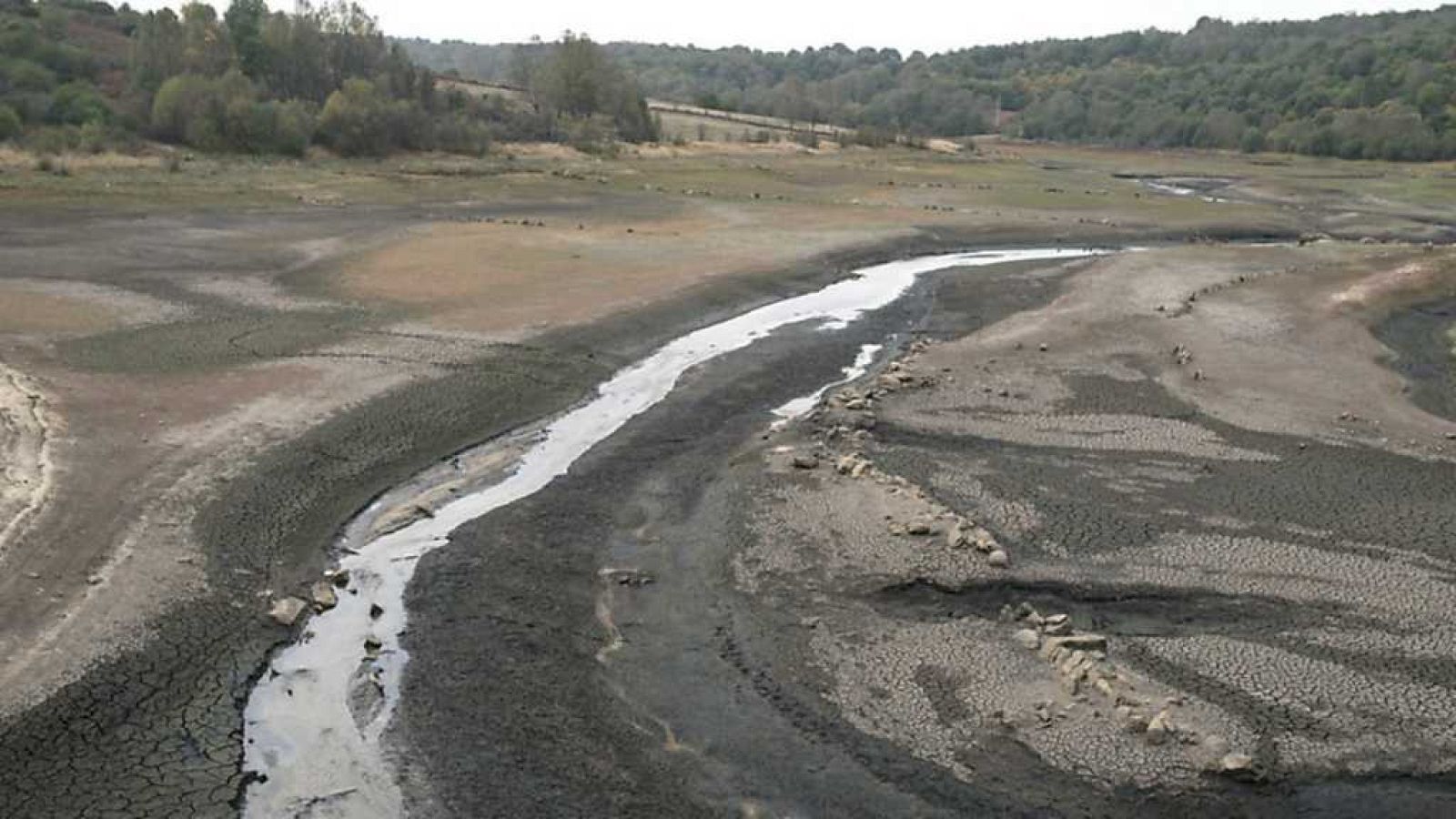 Aquí la Tierra - 15/10/17 - ver ahora
