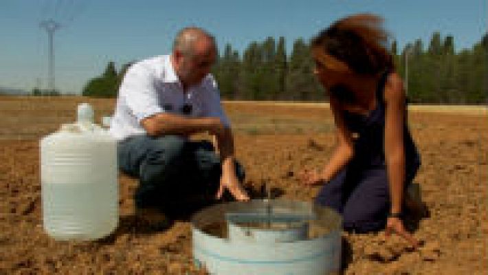 Agricultura de conservación