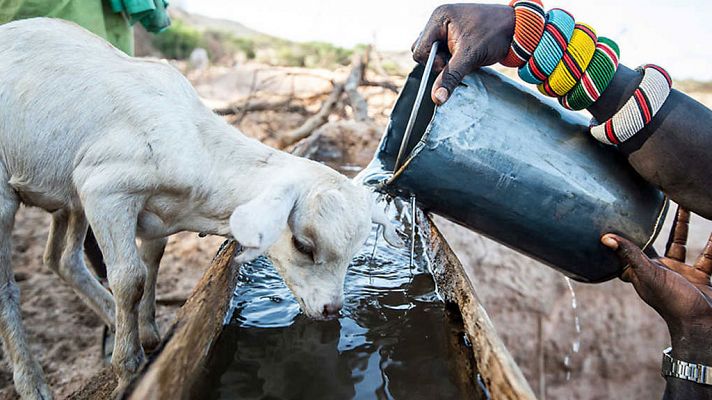 La Tierra: Un nuevo entorno natural: agua