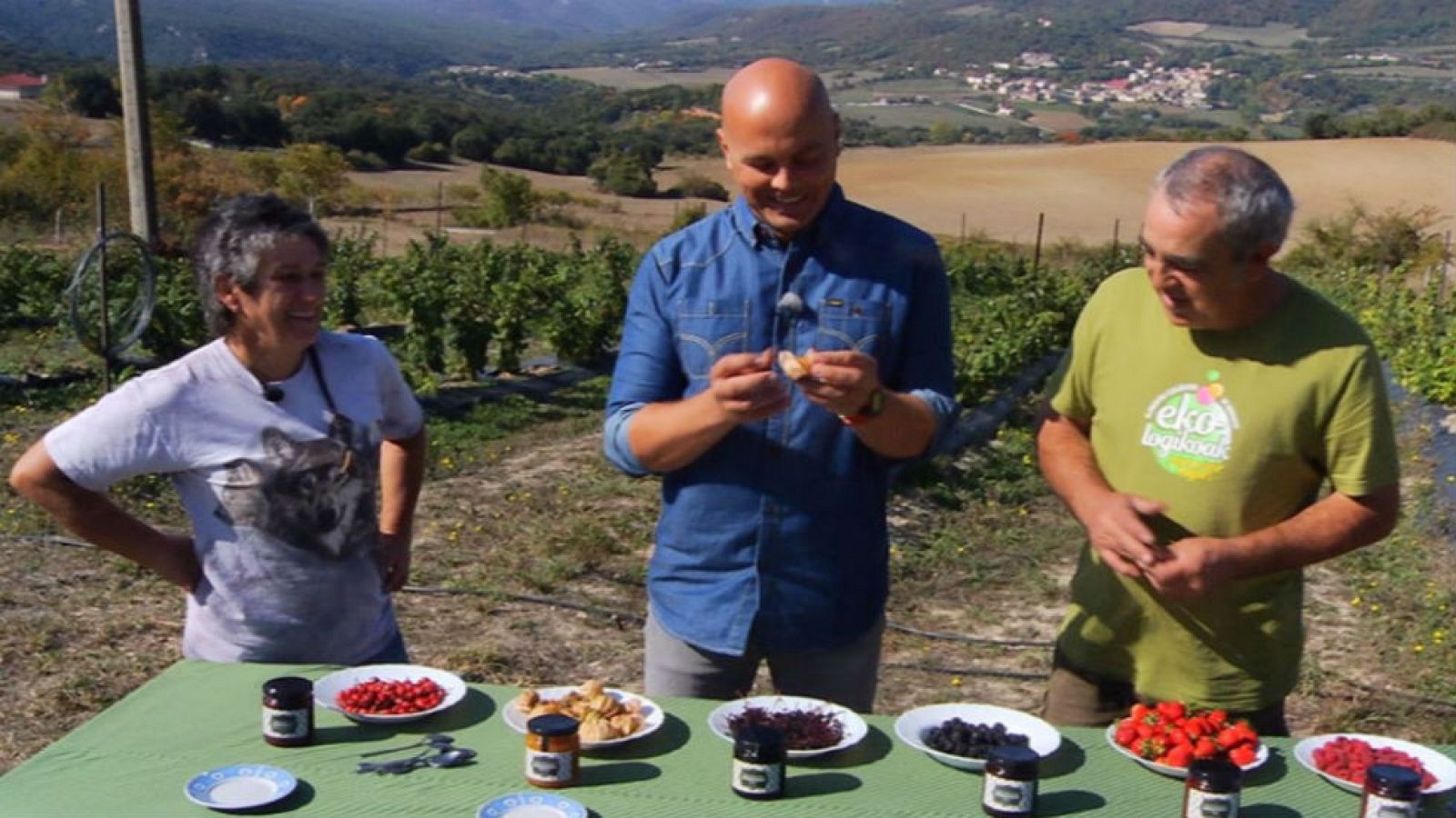 Physalis, una fruta apta para los diabéticos