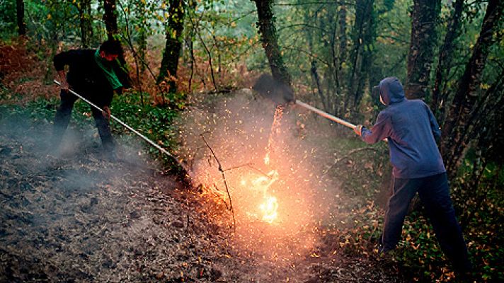 Telediario 1 - Las llamas arrasaron en pocas horas el 70 % de Carballeda de Avia, en Ourense