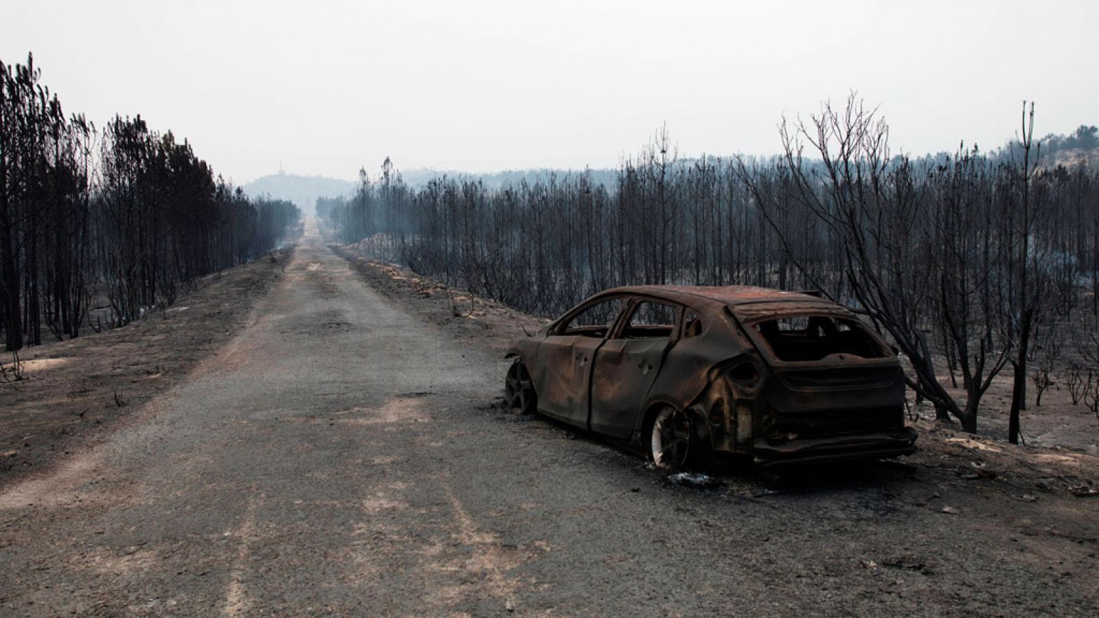 Decenas de incendios siguen arrasando el norte de Portugal