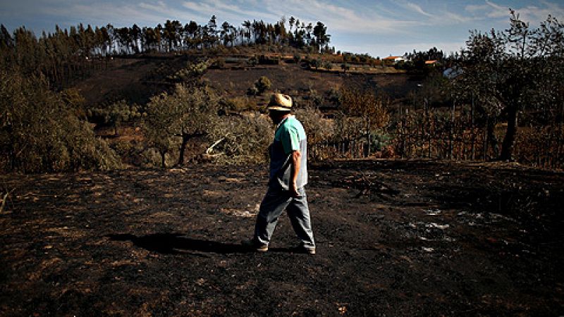 Portugal evalúa los daños causados por los devastadores incendios de los últimos días