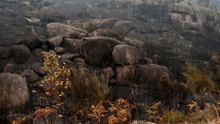 Precipitaciones generalizadas y temperaturas diurnas en descenso   