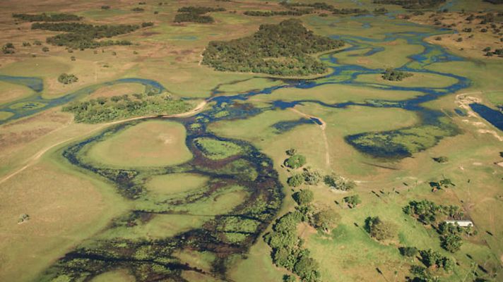 El río del cielo