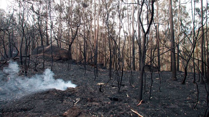  - 21 incendios siguen activos en Galicia, aunque ninguno amenaza ya a la población