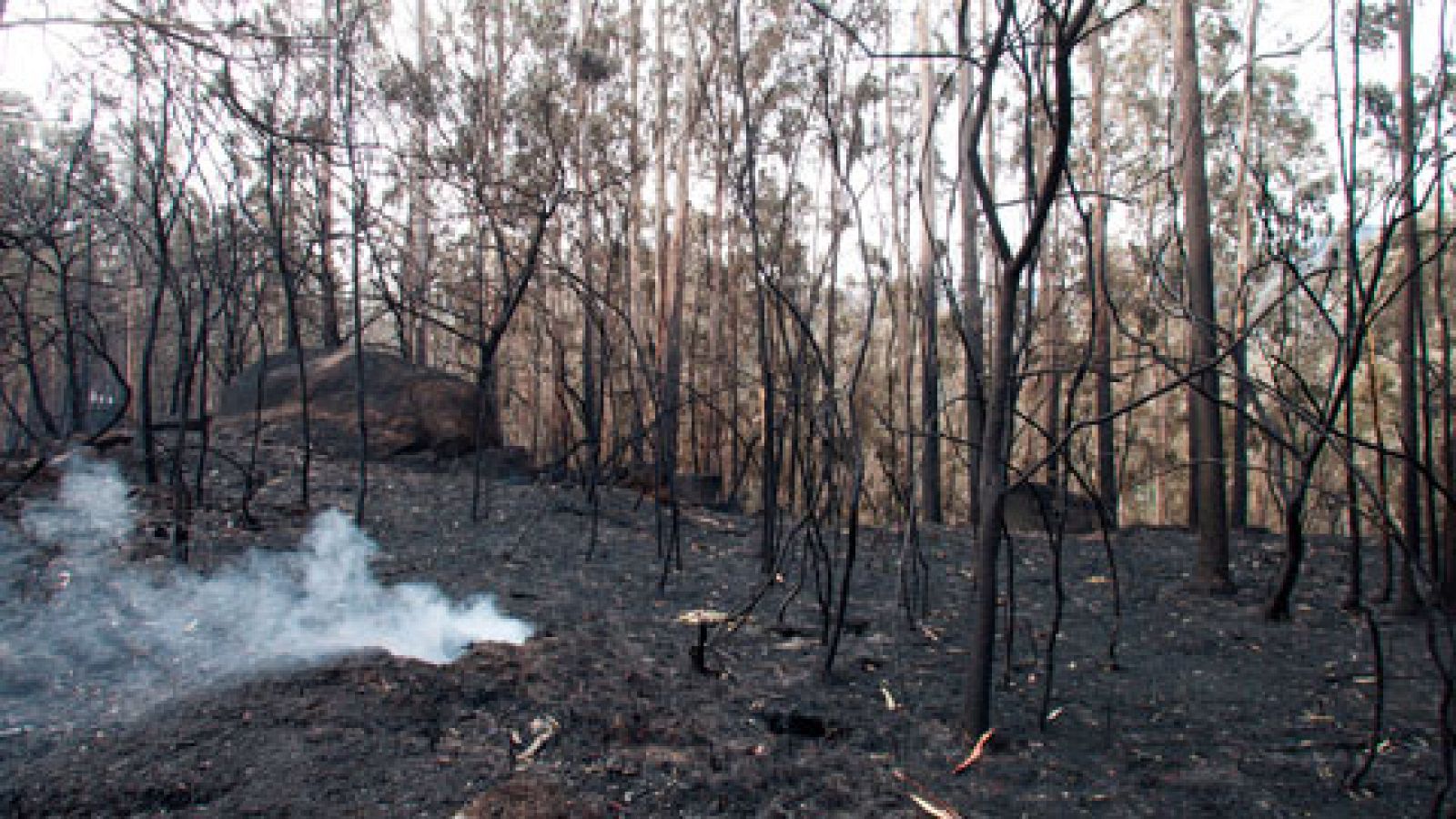 21 incendios siguen activos en Galicia, aunque ninguno amenaza ya a la población