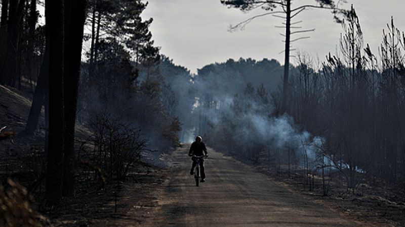 La lluvia sofoca los incendios en Portugal, pero los ecos de la tragedia siguen presentes
