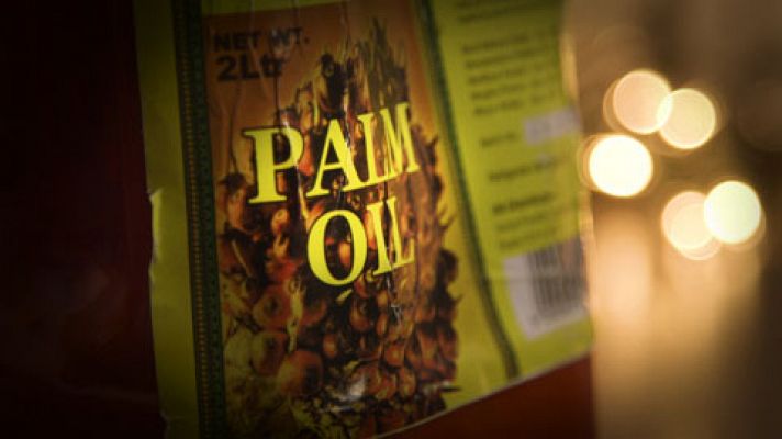 Diarios del aceite de palma - Avance