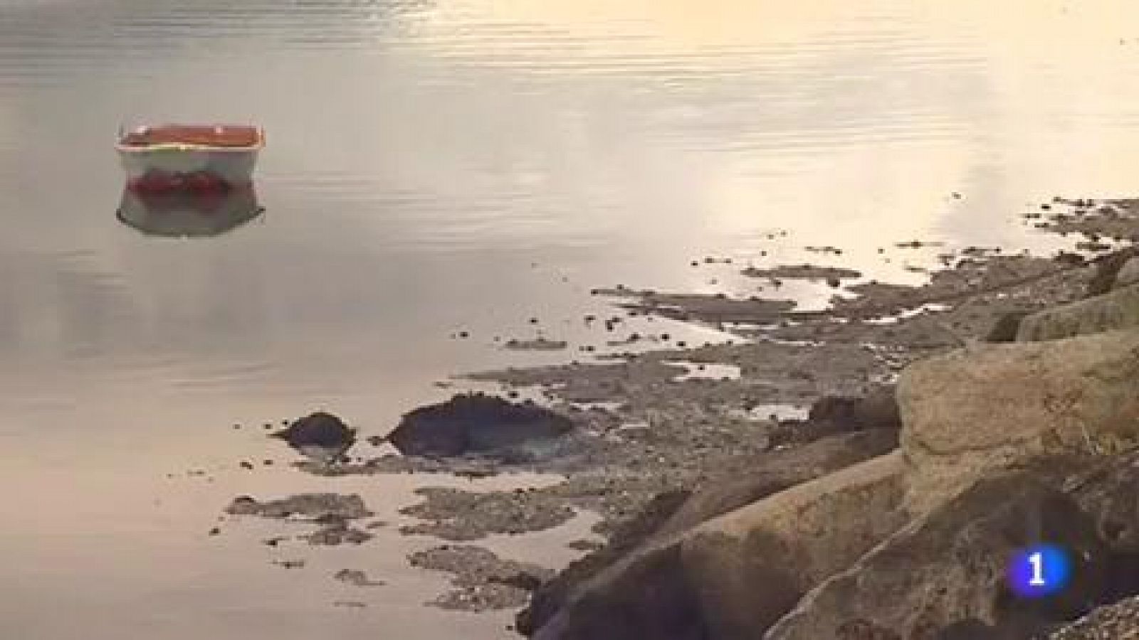 Telediario 1: Los mariscadores de Vigo temen que las lluvias arrastren las cenizas hasta la ría | RTVE Play