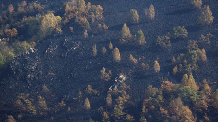 La oposición lamenta la falta de prevención y la política forestal de la Xunta y Medio Ambiente