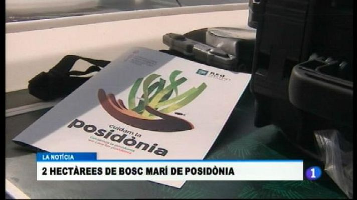 Informatiu Balear - Informatiu Balear - 18/10/17