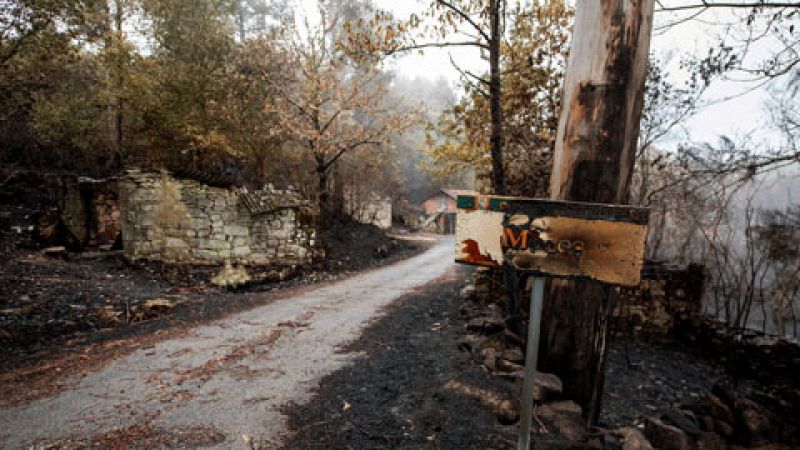 Galicia trata de recuperar la normalidad tras la oleada de incendios
