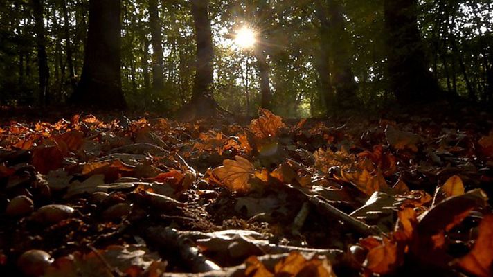 Informativo de Madrid - El Tiempo en la Comunidad de Madrid - 19/10/17