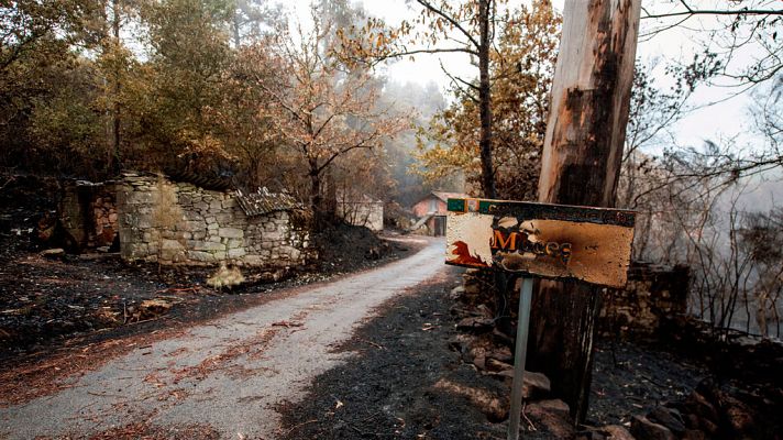 Telediario 1 - Los incendios de Galicia arrasan más de 35.000 hectáreas