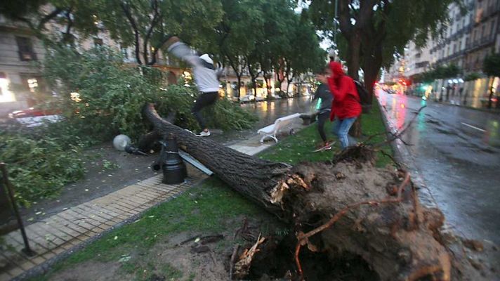 España Directo - España Directo - 19/10/17
