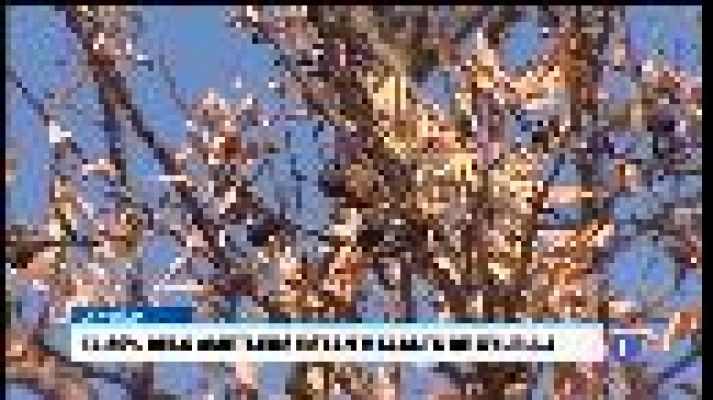 Informatiu Balear - Informatiu Balear - 20/10/17