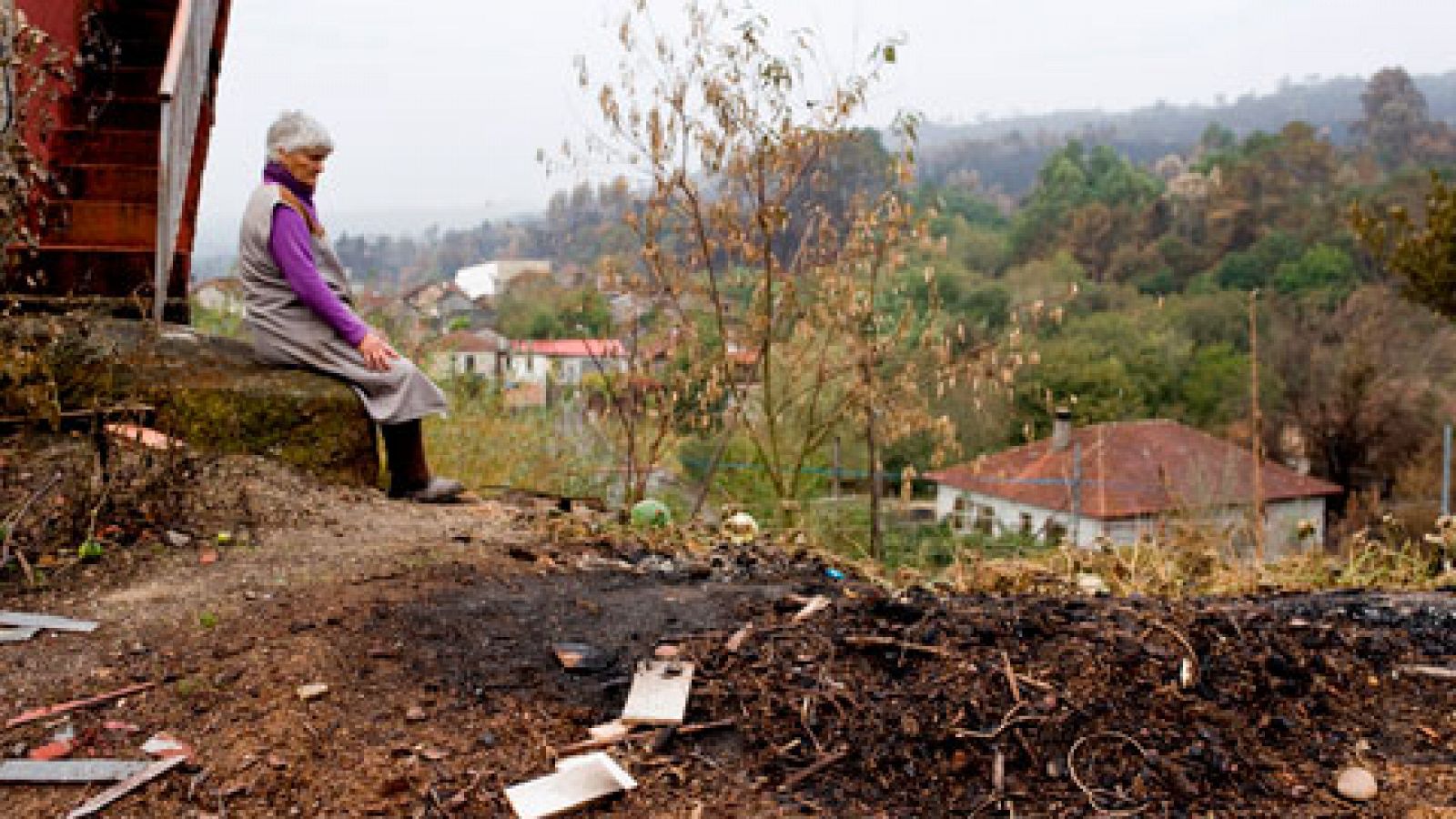 Telediario 1: Preocupación por el deterioro de los suelos tras los incendios en Galicia | RTVE Play