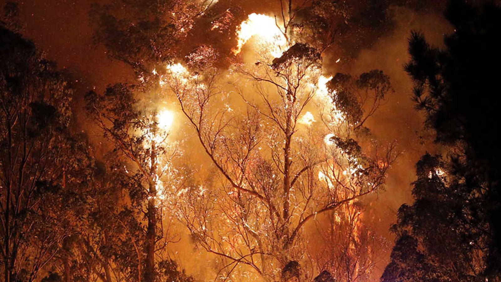 Informe Semanal - 21/10/17 - ver ahora