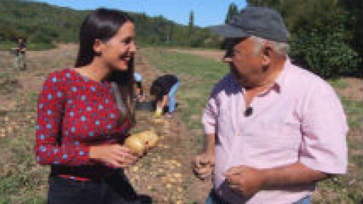 Unas patatas que brillan como el oro