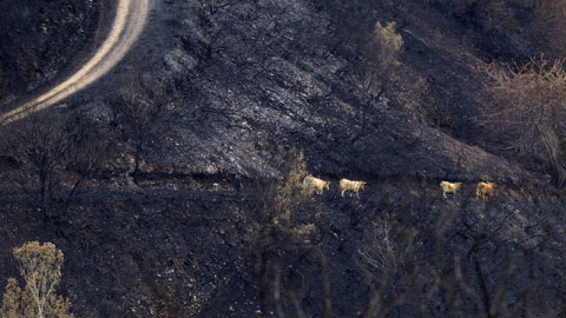 Algunas de las localidades más afectadas por el fuego en Galicia continúan sin agua ni luz