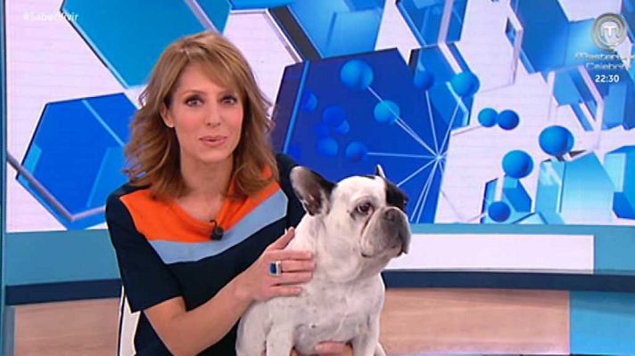 Saber vivir - Saber vivir - 24/10/17