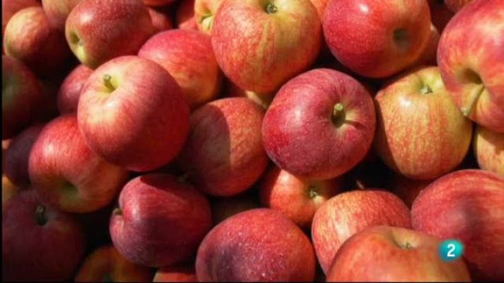 Así empieza: 'El fraude de la fruta falsa'