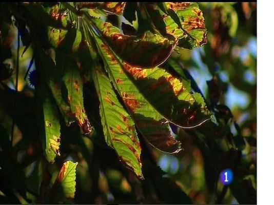 Panorama Regional - El tiempo en Asturias - 25/10/17