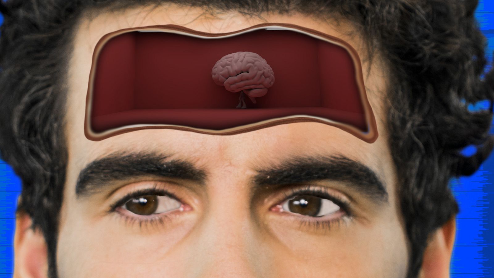 ¿Preparado para interactuar de otra forma con el contenido? Entra en Playz, un lugar muy muy digital con series interactivas, e-sports y todo el contenido transmedia de RTVE.es. Aquello que andabas buscando, ¡en abierto!.