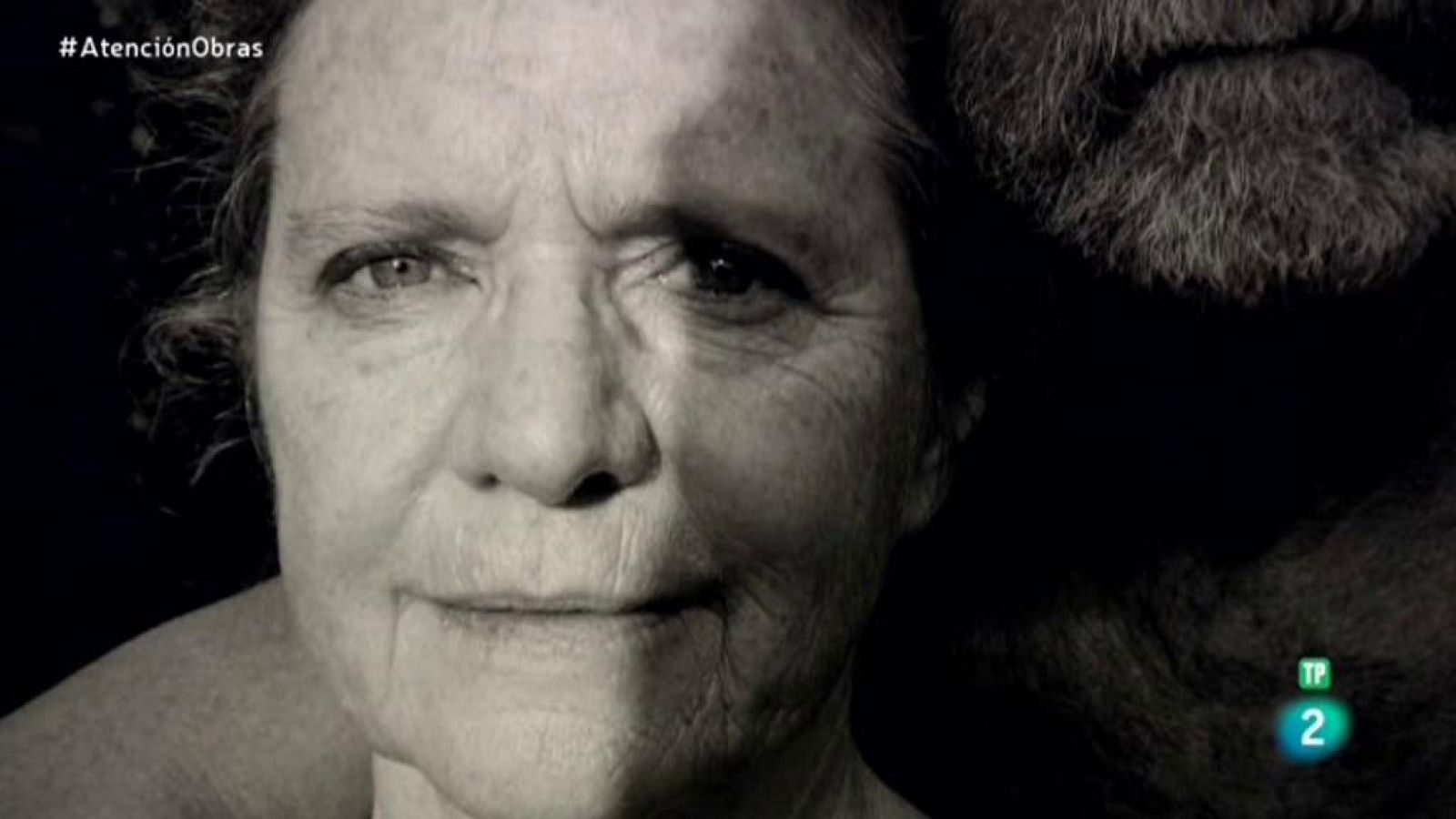 Atención Obras - Nicholas Nixon, fotógrafo