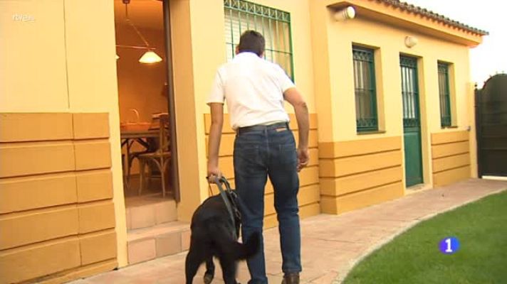  - Día mundial del daño cerebral adquirido