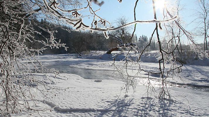 Grandes documentales - El Báltico salvaje: Bosques y páramos encantados