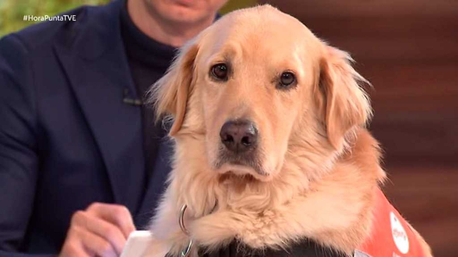 Hora punta - 26/10/17 - ver ahora