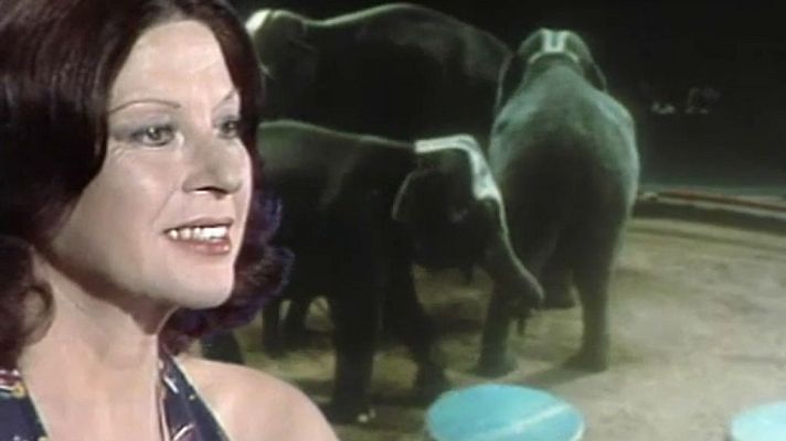 Programas y Concursos en el Archivo de RTVE - El gran circo de Pinito del Oro - Francia