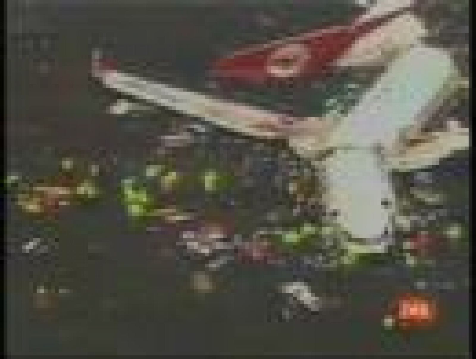 Las cajas negras revelarán las causas del accidente del Boeing 737 de Turkish Airlines | Ver