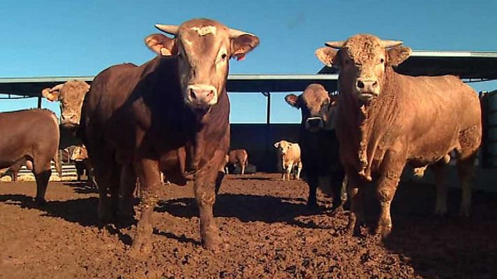 Agrosfera - Agrosfera - 28/10/17