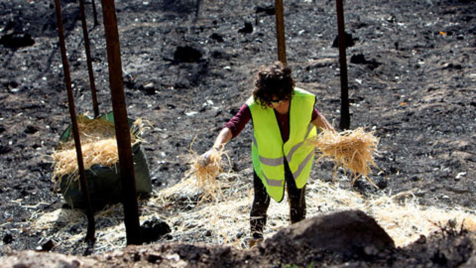 Telediario 1: Tras los incendios de Galicia llega el momento de proteger la tierra y los acuíferos | RTVE Play